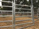 Il bestiame del metallo/i pannelli recinto del cavallo/recinto per bestiame portatile riveste resistente alla corrosione di pannelli